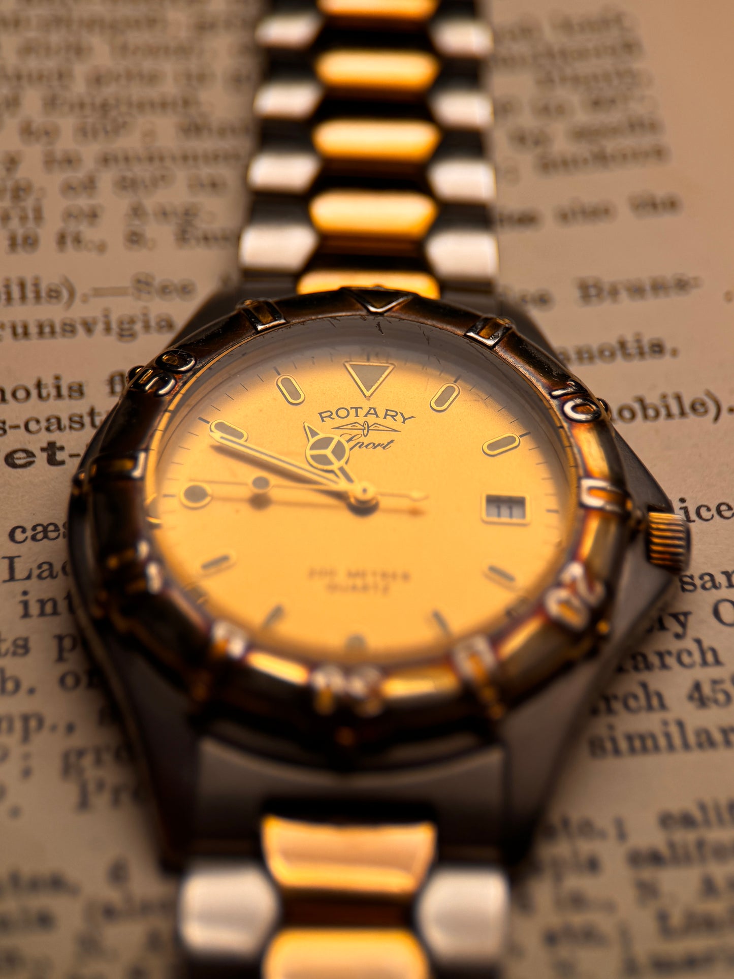 Vintage Rotary Sport 1980's – Patina Diver Classic