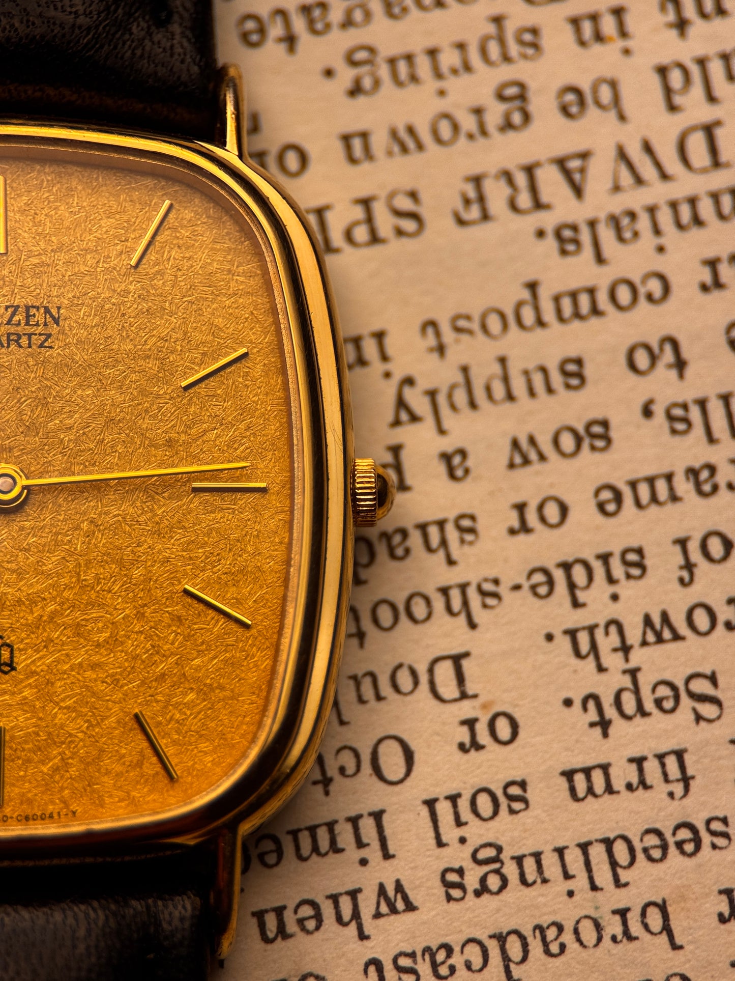 Citizen Quartz Snowflake Dial Vintage Classic Ref. 3639 C60041Y