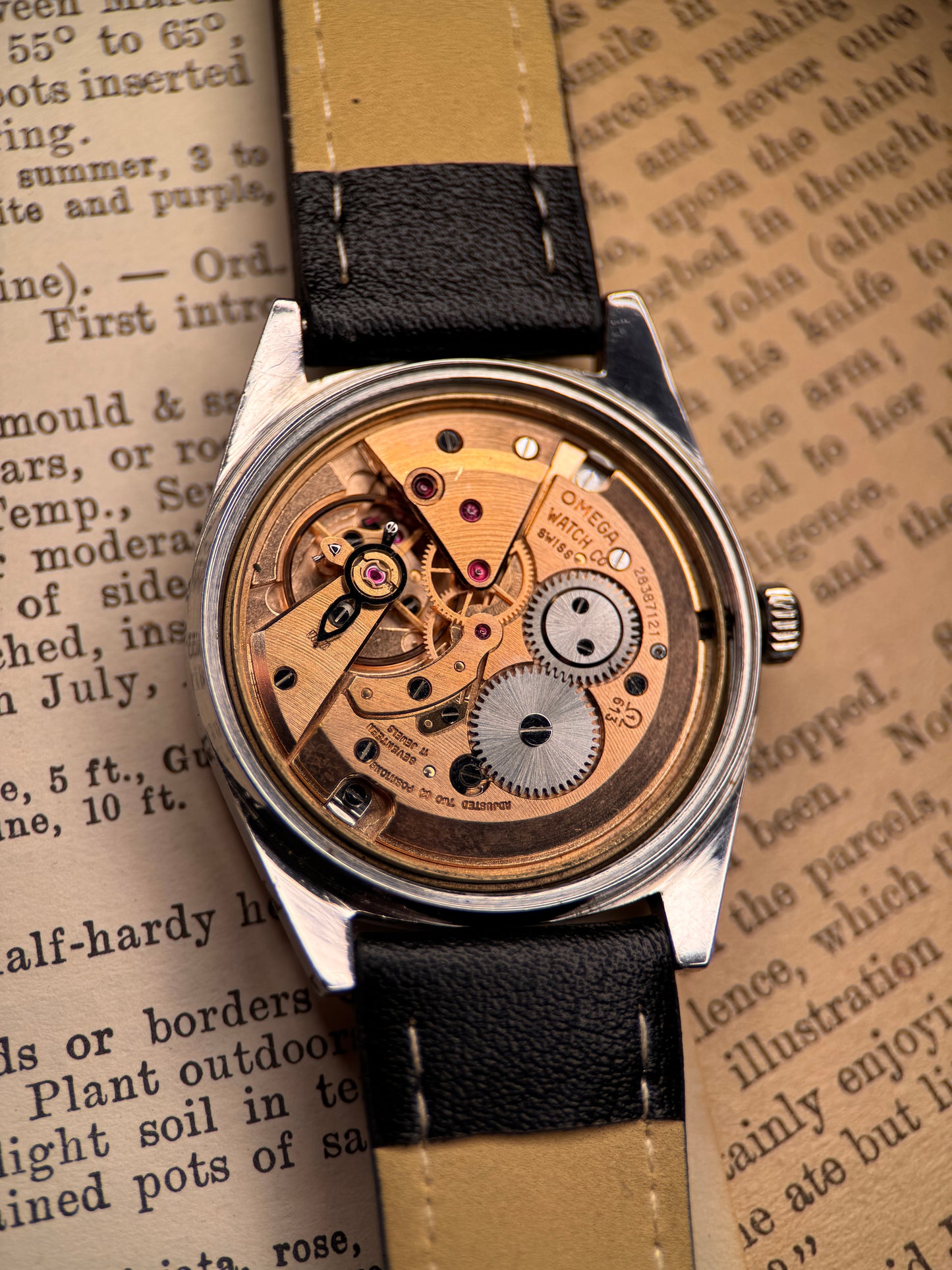 Omega Genève 136.041 | Calibre 613 | 1970 | Silver Sunburst Dial