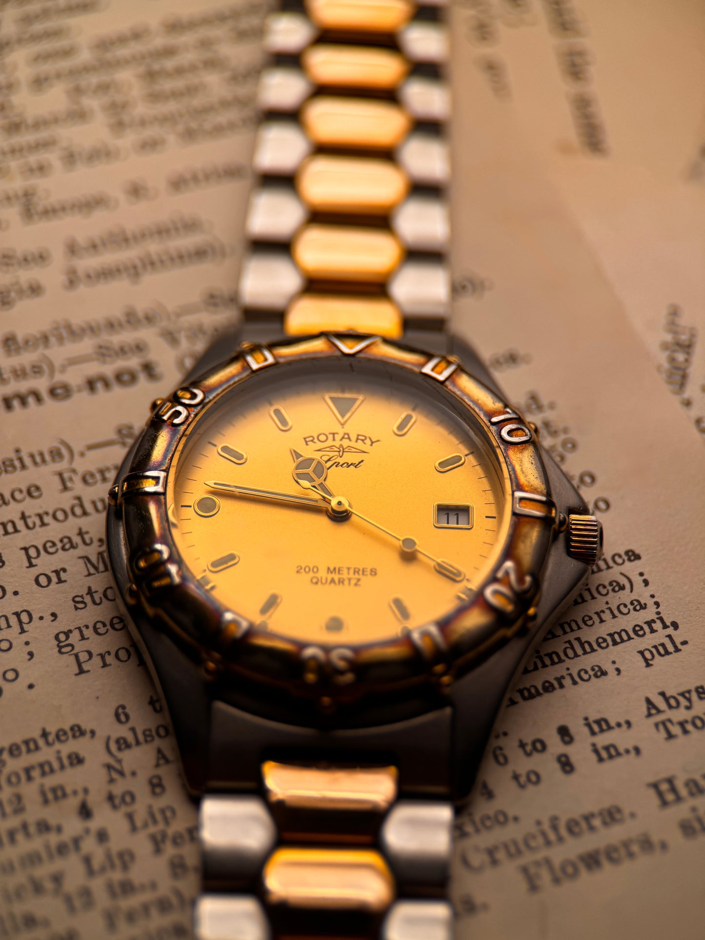 Vintage Rotary Sport 1980's – Patina Diver Classic