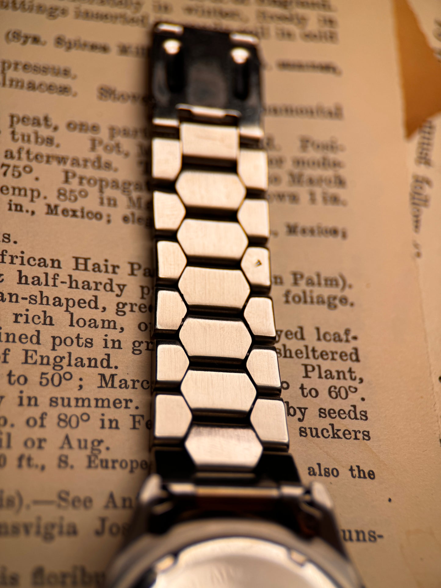Vintage Rotary Sport 1980's – Patina Diver Classic