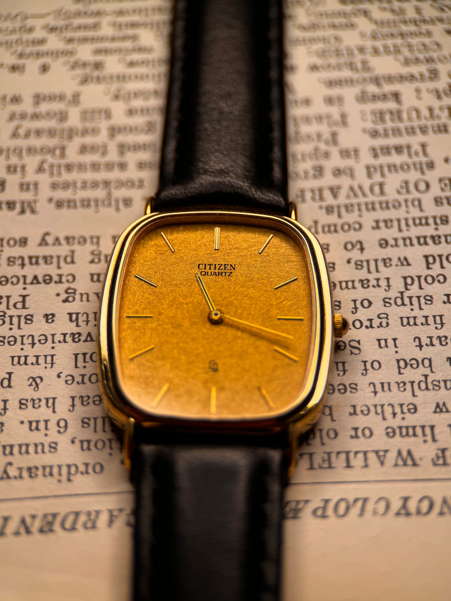 Citizen Quartz Snowflake Dial Vintage Classic Ref. 3639 C60041Y