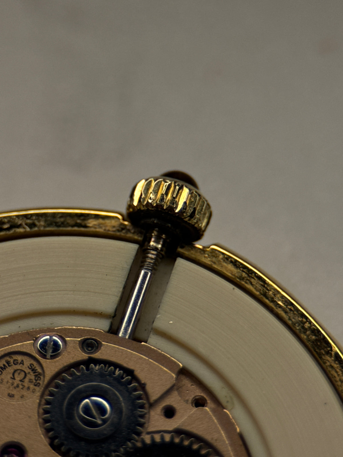 Omega Ladies | Roman Numeral Dial | Ref. 511.9002